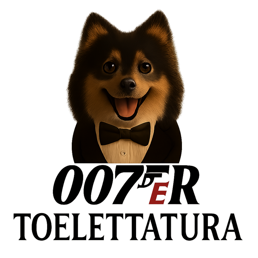 logo 007ER